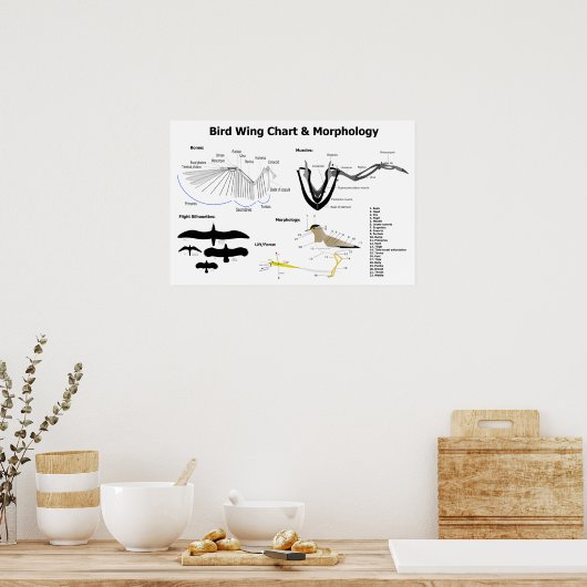 鳥羽の解剖図 ポスター (キッチン)