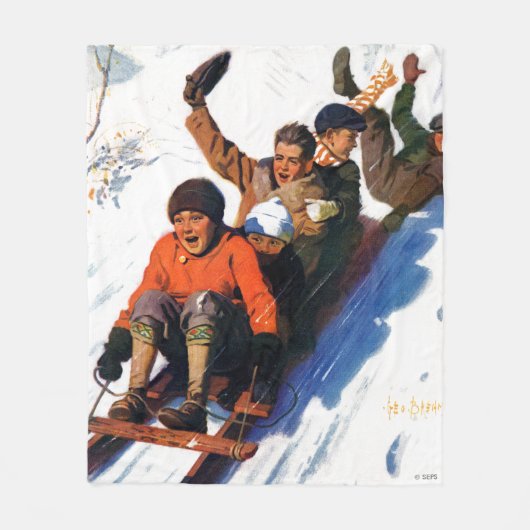 鳥羽銀 フリースブランケット (正面)