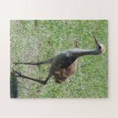 鳥自然砂丘クレーン野生生物写真 ジグソーパズル (横)