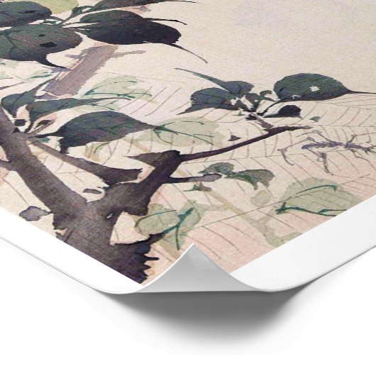 鳥蜘蛛Imao Keinen ポスター (角)