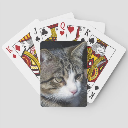 鳥観察 トランプ (裏面)