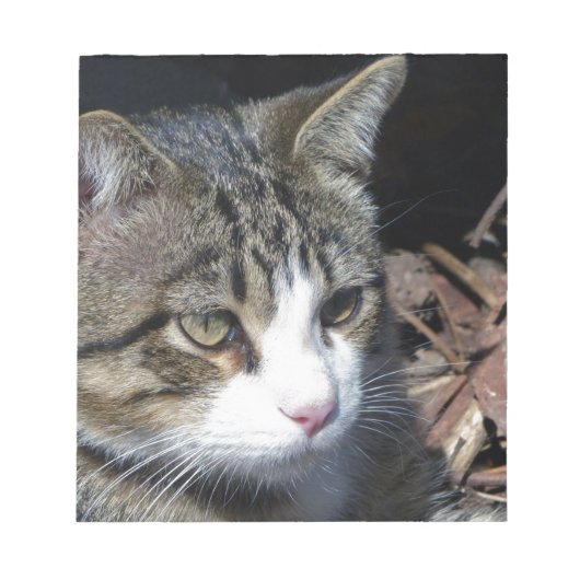 鳥観察 ノートパッド (正面)