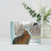 鳥観察 ポストカード (スタンド正面)