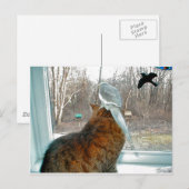 鳥観察 ポストカード (正面/裏面)