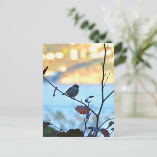 鳥観察 ポストカード (スタンド正面)