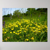 鳥足三葉紙 ポスター (正面)