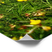 鳥足三葉紙 ポスター (角)