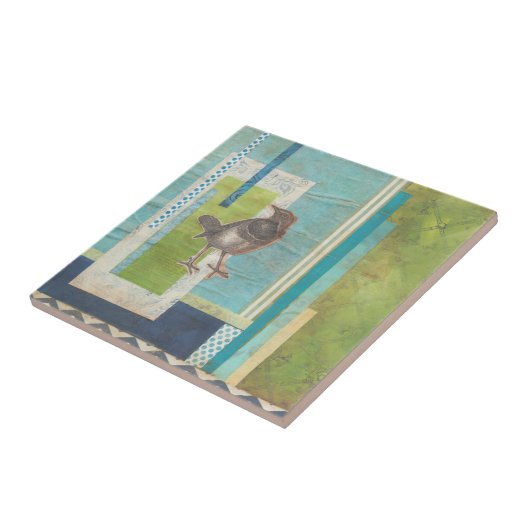 鳥類スクラップブック1 タイル (側面)