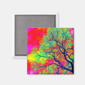 鳥類マグネット マグネット (正面/裏面)