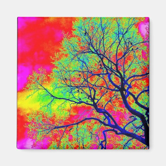 鳥類マグネット マグネット (正面)