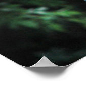 鳥類会議 ポスター (角)