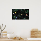 鳥類会議 ポスター (キッチン)