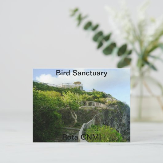 鳥類保護区 ポストカード (スタンド正面)