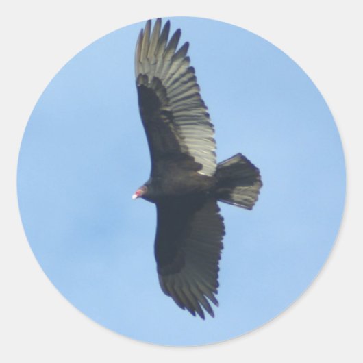 鳥類学 ラウンドシール (正面)