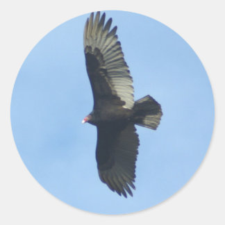 鳥類学 ラウンドシール