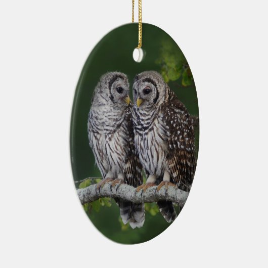 鳥類捕獲人のための美しいアメリカフクロウのクリスマスのオーナメント セラミックオーナメント (右)