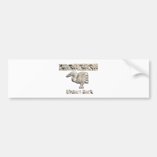 鳥類捕獲人の石 バンパーステッカー (正面)