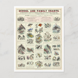 鳥類教育図 ポストカード