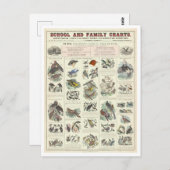 鳥類教育図 ポストカード (正面/裏面)