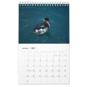 鳥類暦 カレンダー (1月 2027)