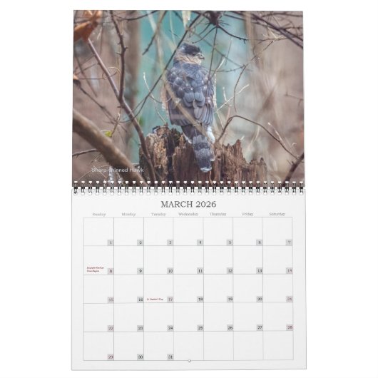 鳥類暦 カレンダー (3月 2026)