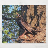 鳥類飲食物ラベルセット ビールラベル (シングルラベル)