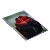 鳥類鳥類鳥類学 ノートブック (右側)