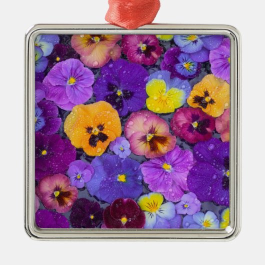 鳥風呂に露を浮かべたパンジーの花 メタルオーナメント (正面)