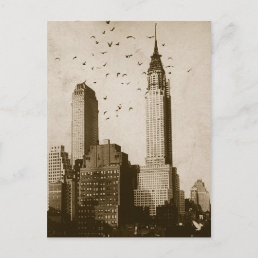 鳥飛行の群 ポストカード (正面)