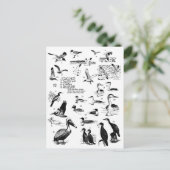 鳥12 ポストカード (スタンド正面)