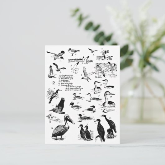 鳥12 ポストカード (スタンド正面)