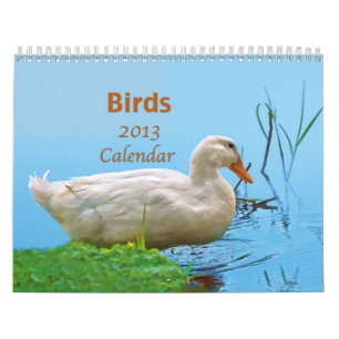 鳥2013のカレンダー カレンダー