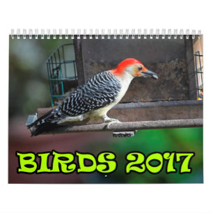 鳥2017年 カレンダー