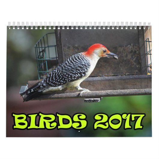 鳥2017年 カレンダー (カバー)