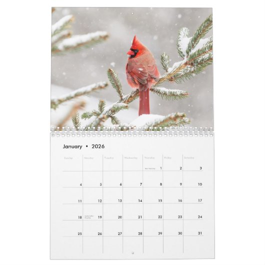 鳥2026 カレンダー (1月 2026)