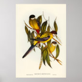 鳥3 ポスター (正面)