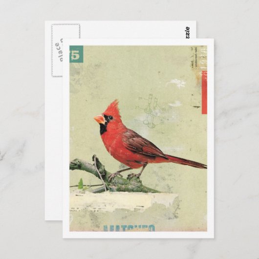 鳥6番 ポストカード (正面/裏面)