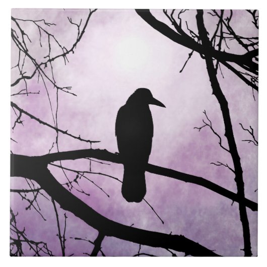 鳥78カラス渡し タイル (正面)