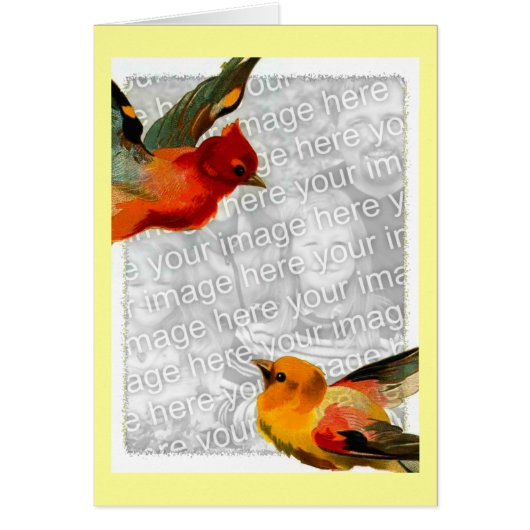 鳥、あなたの写真はこちら (正面)