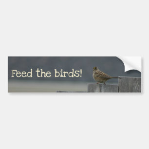"鳥"にバンパーステッカーを食べ物を与えて下さい バンパーステッカー