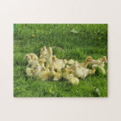 鳥，アヒル，アヒル，黄，自然，かわいい，ベビー ジグソーパズル (横)