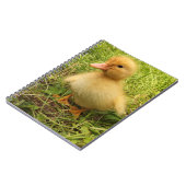 鳥,アヒル,アヒル,黄,自然,かわいい,ベビー ノートブック (左側)