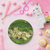 鳥，アヒル，アヒル，黄，自然，かわいい，ベビー ペーパープレート (パーティー)