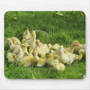 鳥，アヒル，アヒル，黄，自然，かわいい，ベビー マウスパッド