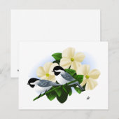 《鳥》アメリカゴガラとハナミズキ ポストカード (正面/裏面)