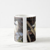 《鳥》アメリカゴガラのコーヒー・マグ コーヒーマグカップ (中央)