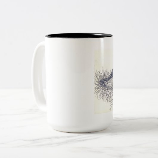 《鳥》アメリカゴガラの鉛筆のスケッチのコーヒーのマグ ツートーンマグカップ (正面左)