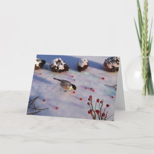 《鳥》アメリカゴガラウィンターカード カード (正面)