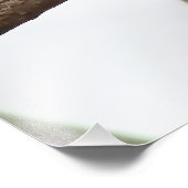 《鳥》アメリカゴガラオンザブランチスクエアプリント フォトプリント            (角)