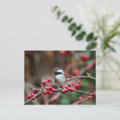 《鳥》アメリカゴガラオンブランチとレッドベリー ポストカード (スタンド正面)